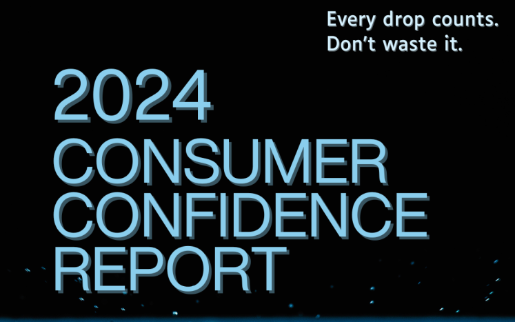consumer confidence report