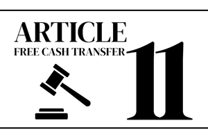 article 11