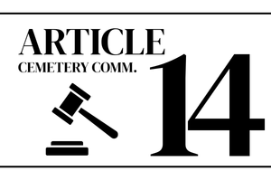 article 14