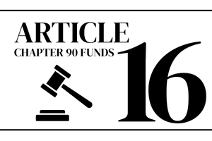 article 16