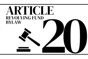 article 20