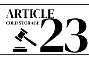 article 23