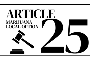 article 25