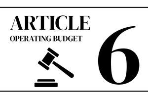 article 6