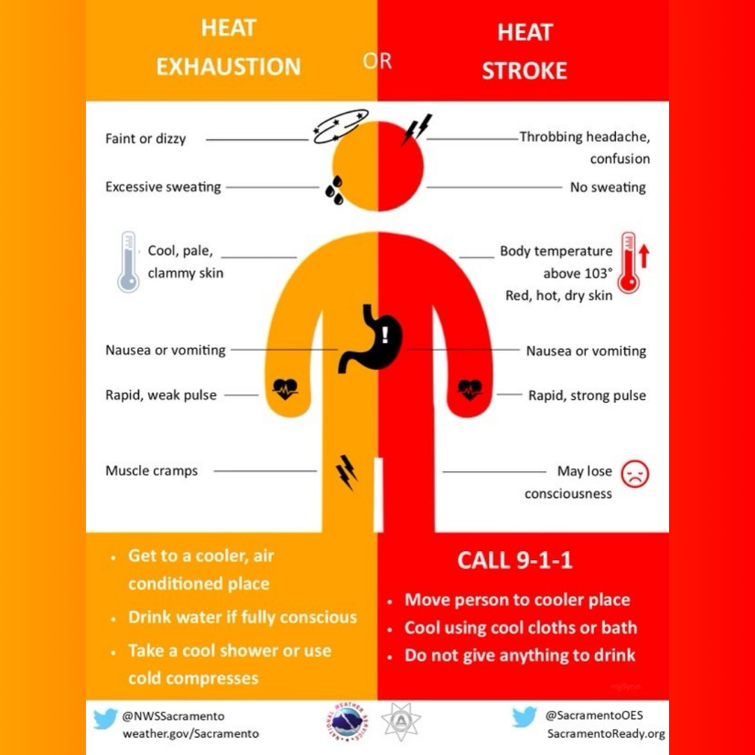 heat safety