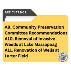 article