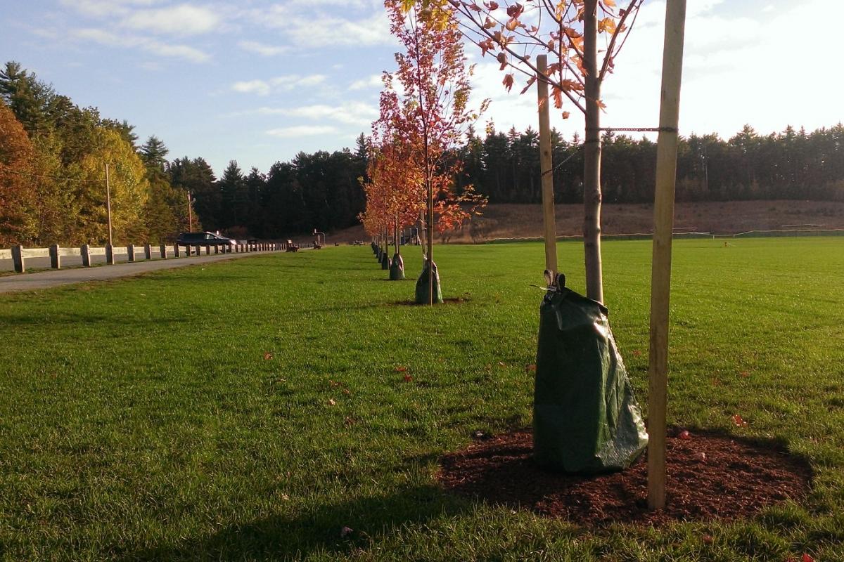 Parks Great Work - Larter Field - Fall 2013