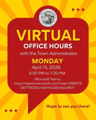TA Virtual Office hours Graphic