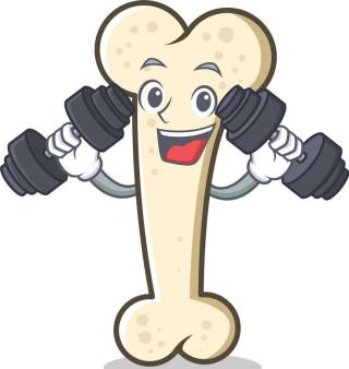 Cartoon of bone lifting weights