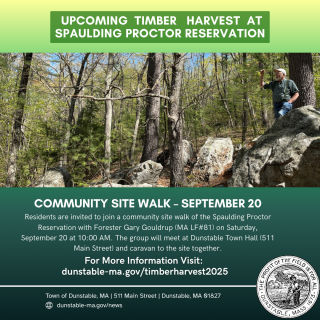 timber harvesting