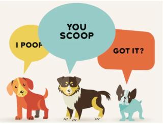 Dog Waste Graphic