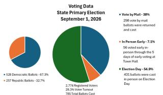 Voter Turnout Graphic