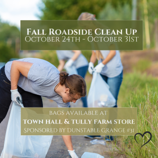 roadside cleanup