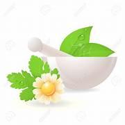 clipart of medicinal herbs