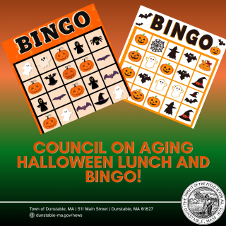 council on aging bingo