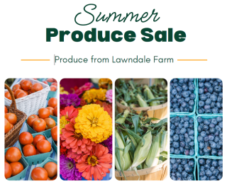 produce sale