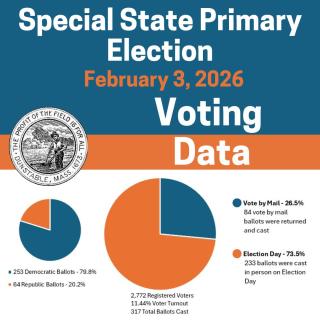 Voter Turnout Graphic