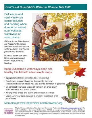 Yard Waste Impacts on Stormwater Flyer