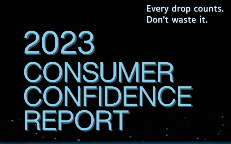 consumer confidence report