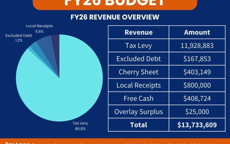revenue overview