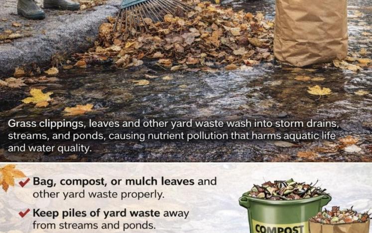 Yards waste flyer