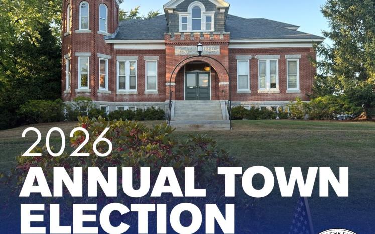 ANNUAL TOWN ELECTION GRAPHIC