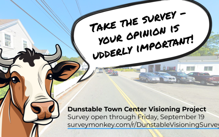 town vision survey august 2025