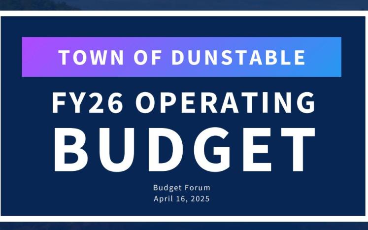 Budget graphic