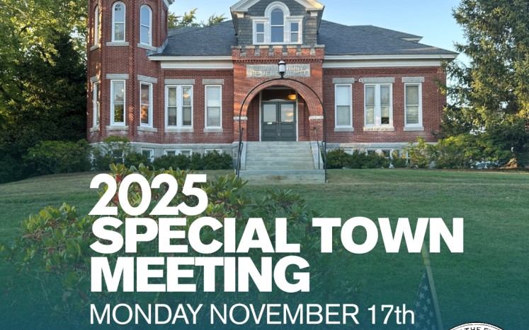 SPECIAL TOWN MEETING