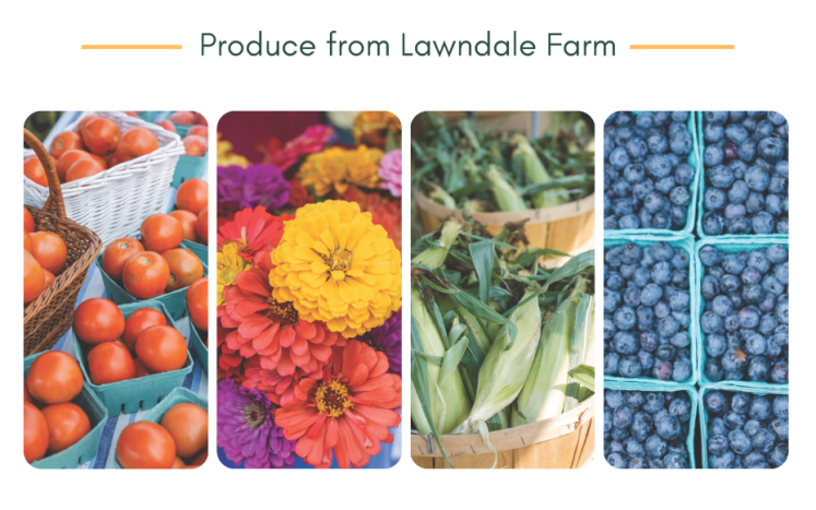 summer produce