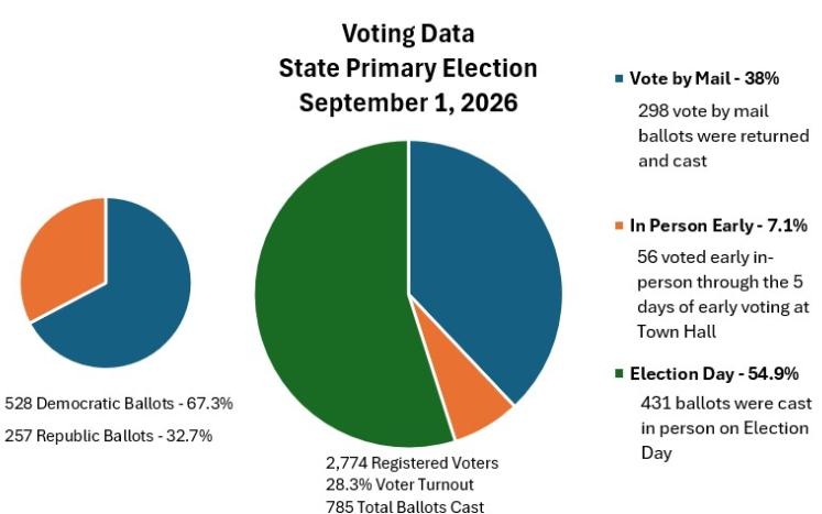 Voter Turnout Graphic