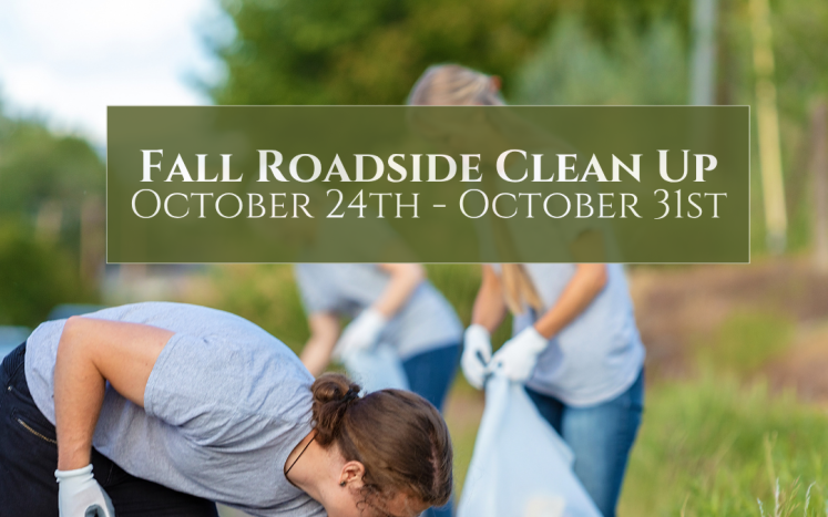 roadside cleanup