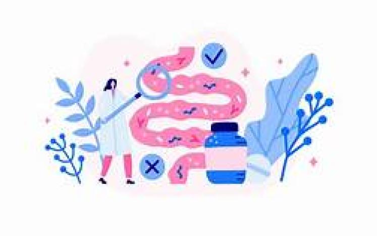 gut health clip art