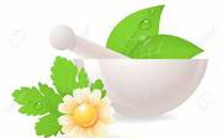 clipart of medicinal herbs