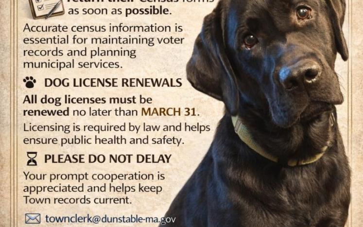 Dog license graphic