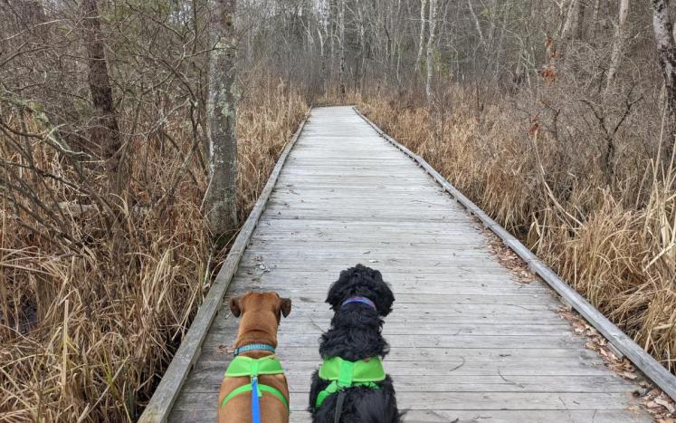 Nashua Boardwalk Nashua Boardwalk