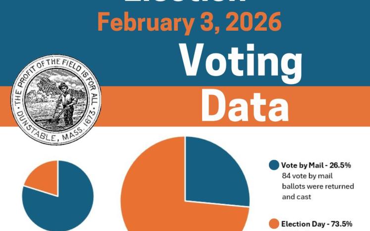 Voter Turnout Graphic