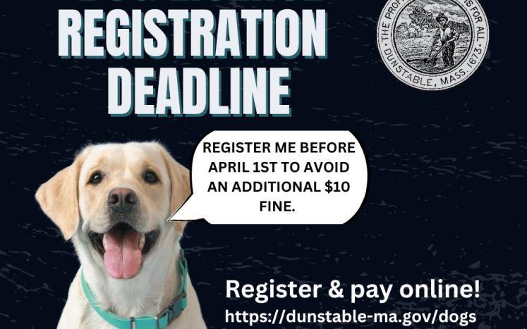 dog registration deadline