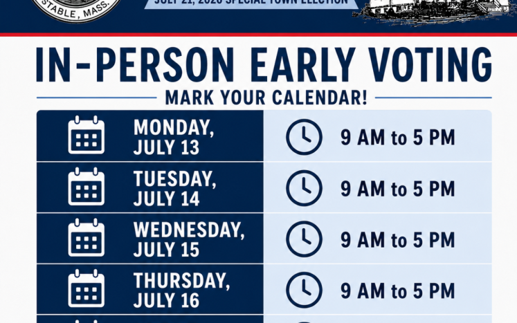 Early In-person Voting Graphic