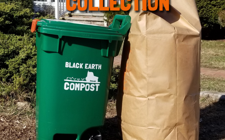yard waste collection