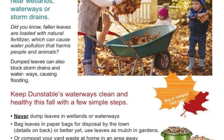 Yard Waste Impacts on Stormwater Flyer